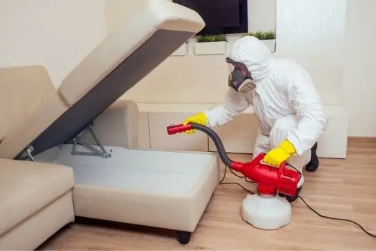 bed bug extermination gwillimbury