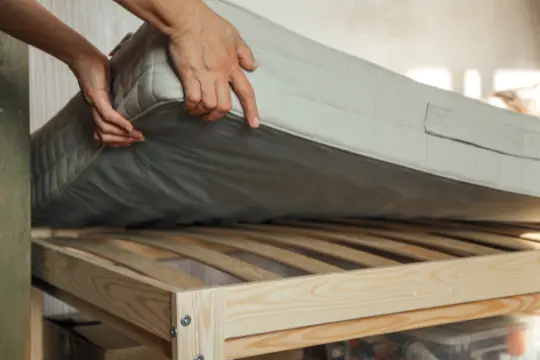 bed bug preparation gwillimbury