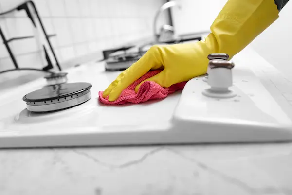 cockroach prevention gwillimbury