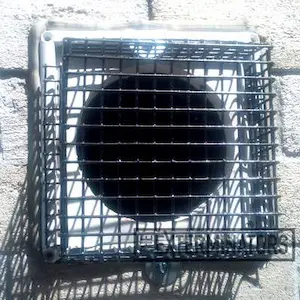 mouse exclusion gwillimbury