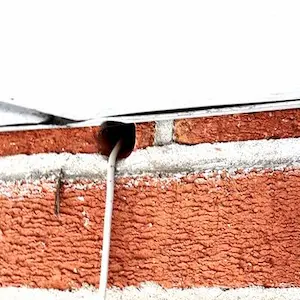 mouse inspection gwillimbury