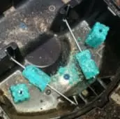 rat extermination gwillimbury