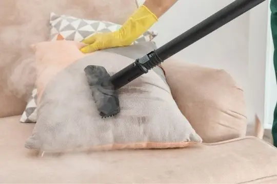 steam bed bug treatment gwillimbury